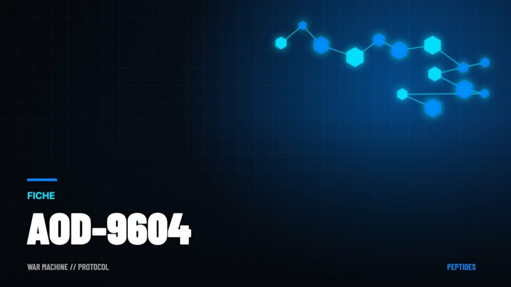 AOD-9604 : le « fragment brûle-graisse » qui n'a pas tenu ses promesses