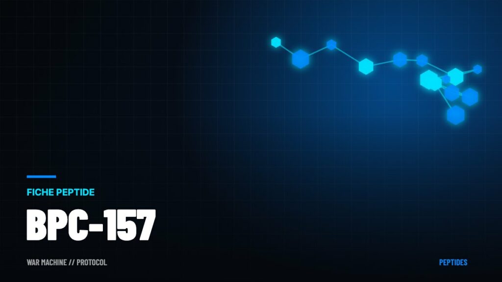 BPC-157 : ce que dit vraiment la science