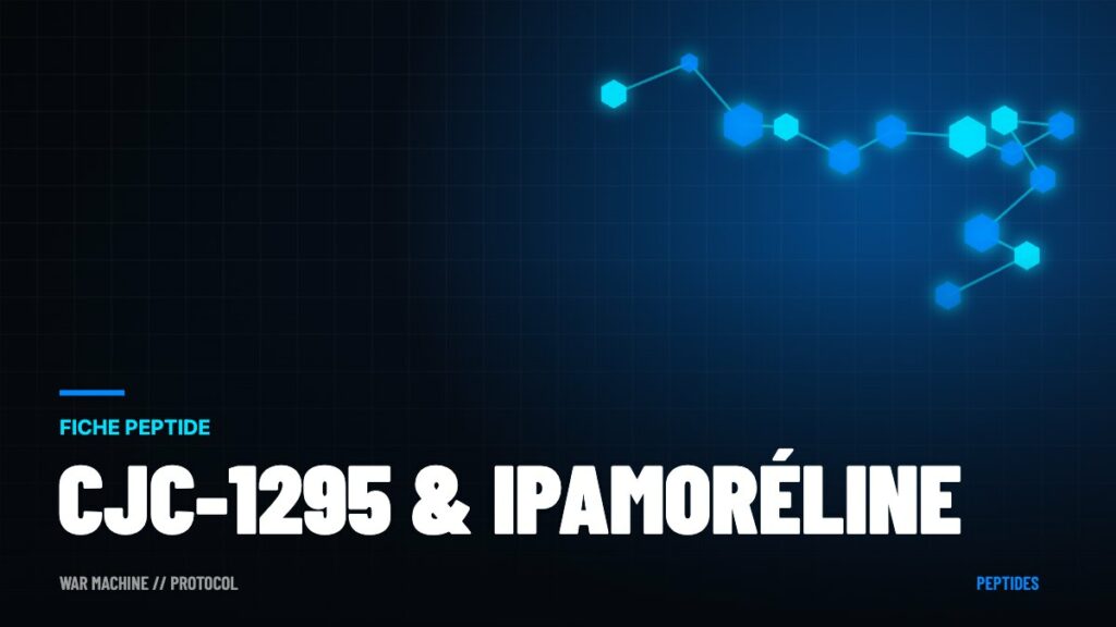 CJC-1295 et ipamoréline : les peptides de l'hormone de croissance