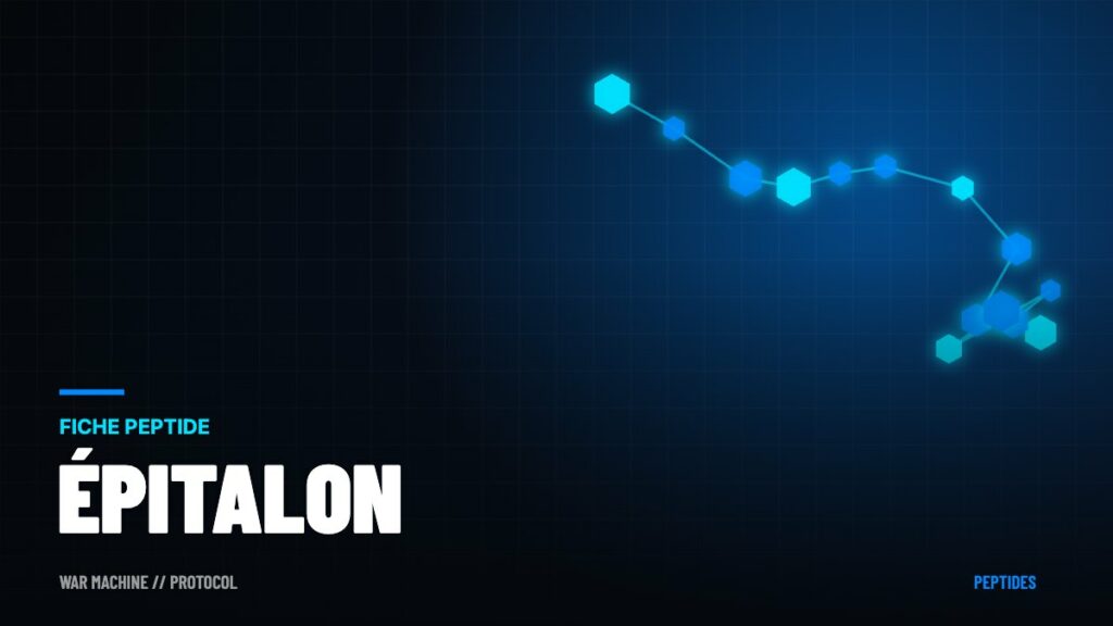 Épitalon : le peptide « anti-vieillissement » à l'épreuve des faits