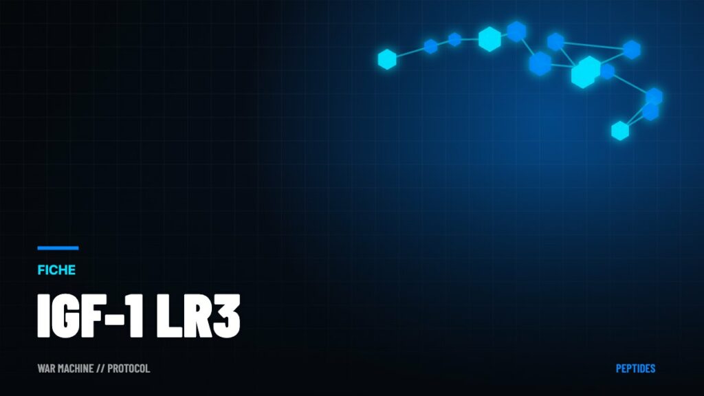 IGF-1 LR3 : l'analogue de l'IGF-1 prisé en musculation