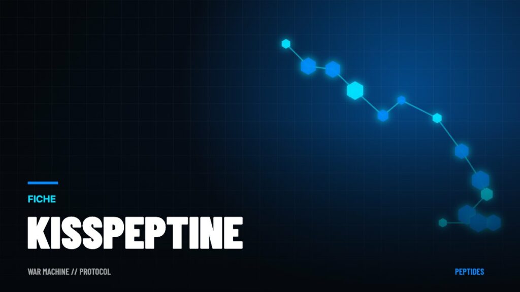 Kisspeptine : le peptide qui pilote les hormones sexuelles
