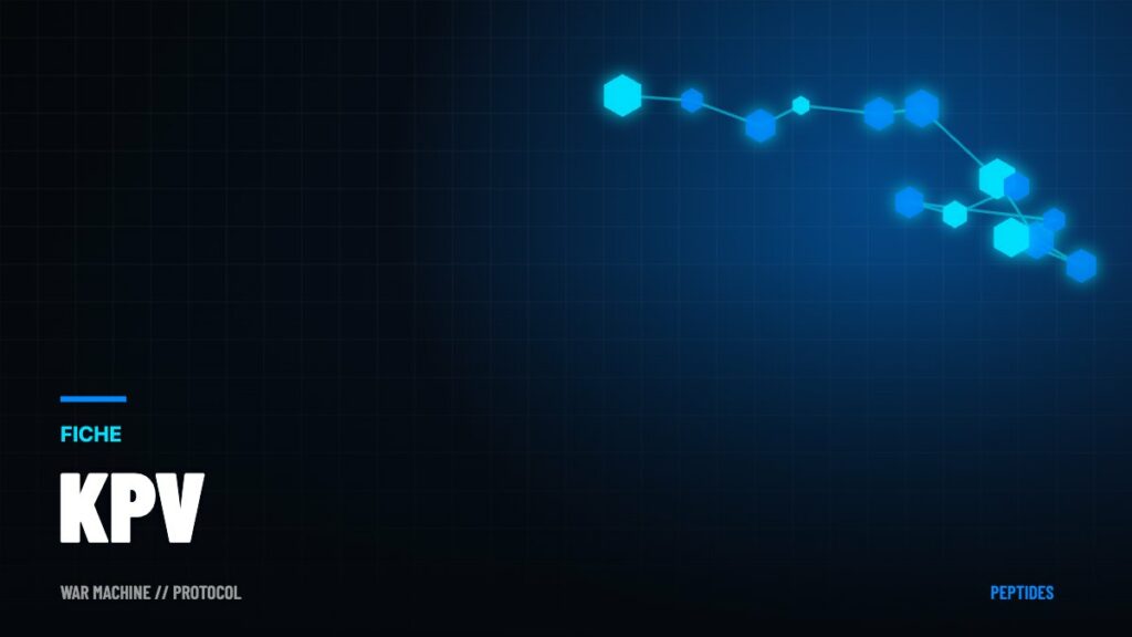 KPV : le tripeptide anti-inflammatoire des « blends » peptidiques