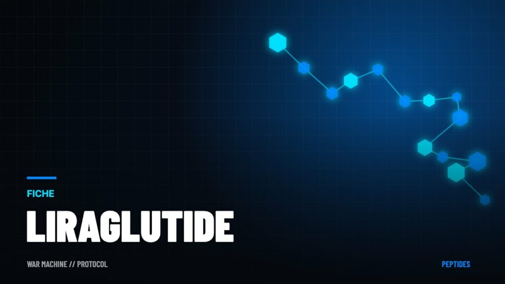 Liraglutide (Saxenda, Victoza) : le premier GLP-1 contre l'obésité