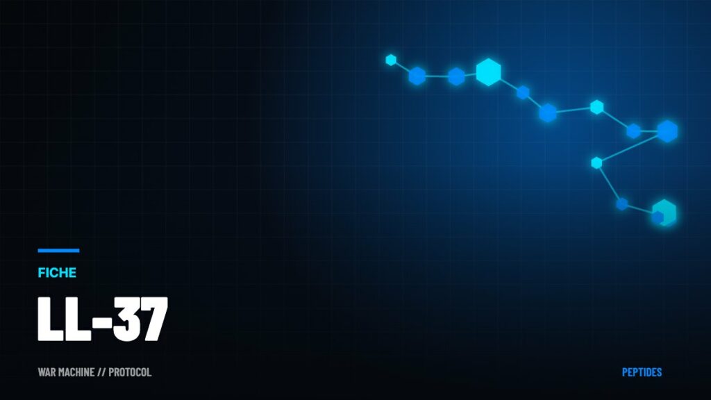 LL-37 : le peptide antimicrobien humain