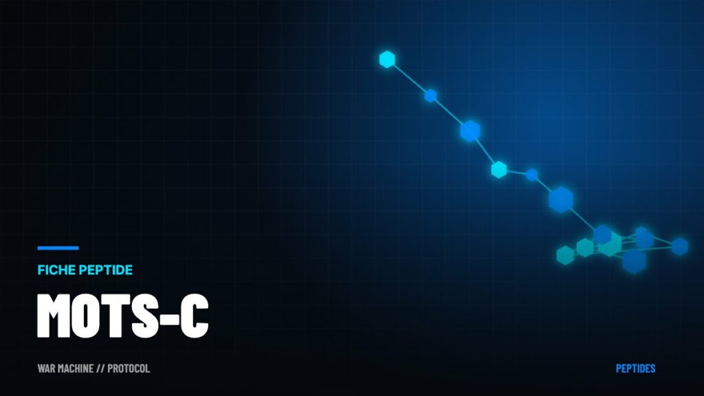 MOTS-c : le peptide mitochondrial qui imite le sport