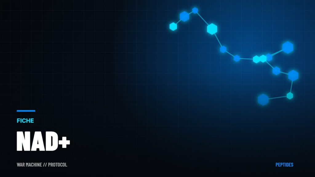 NAD+ : injections, perfusions, NMN… ce que dit vraiment la science