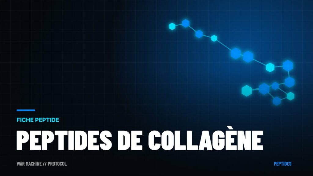 Peptides de collagène : efficacité, bienfaits et comment bien choisir