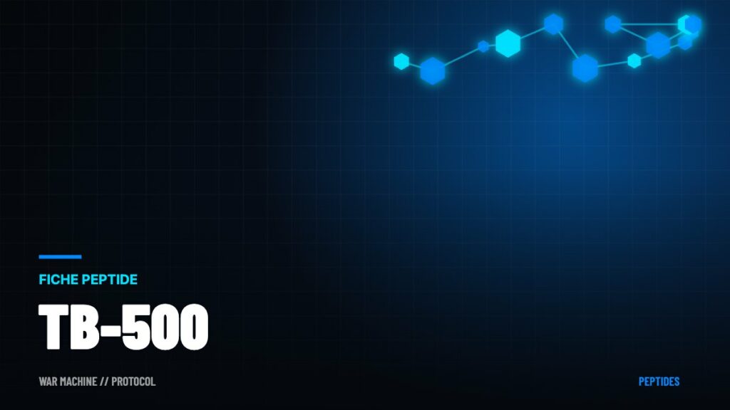TB-500 (thymosine bêta-4) : promesses, preuves et dangers