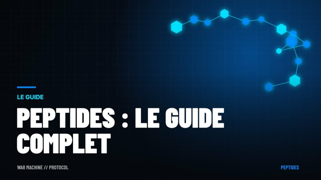 Peptides : le guide complet